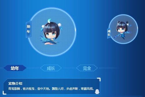 端游飞车最新宠物爆料,神秘宠物助力速度与激情